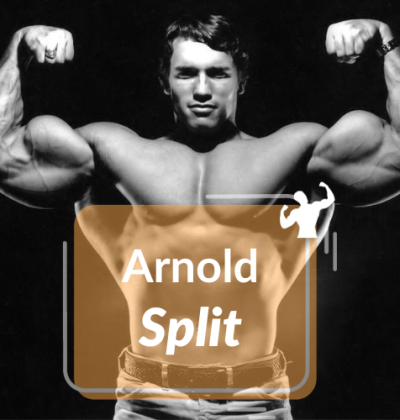 Arnold Split: A Comprehensive Guide to Effective Muscle Growth